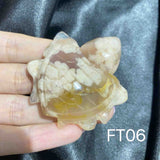 Flower Agate Turtle