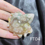 Flower Agate Turtle