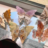 Crystal Butterfly Wings