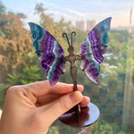 Rainbow Fluorite Butterfly