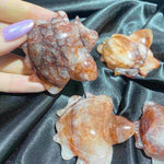 Fire Quartz Turtle