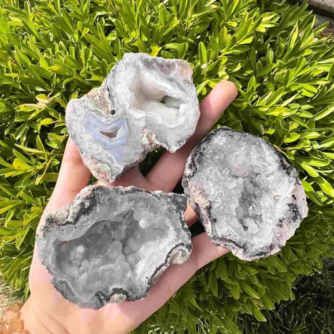 Druzy Geodo