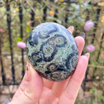 Kambaba Jasper Palm Stones