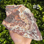 Mexican Crazy Lace Agate Slab