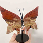 Crystal Butterfly Wings(Middle Sized)