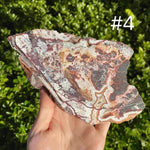 Mexican Crazy Lace Agate Slab