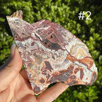 Mexican Crazy Lace Agate Slab